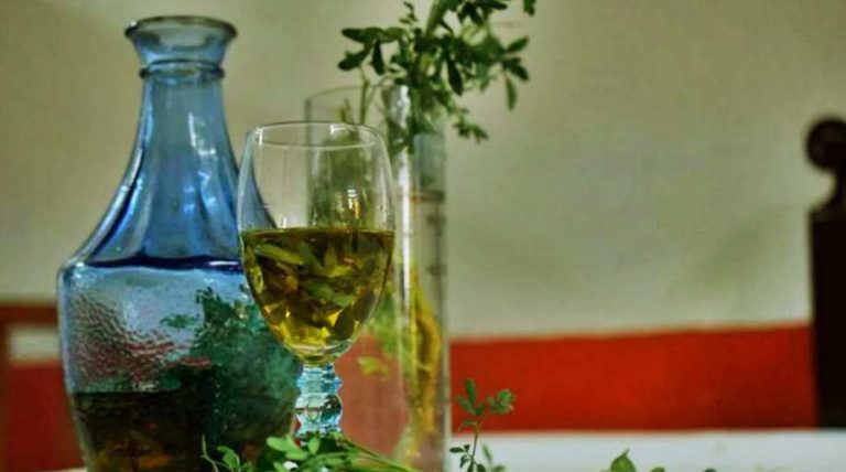 ¿Por qué se toma caña con ruda cada primero de agosto? ¿Por qué se toma caña con ruda cada primero de agosto?