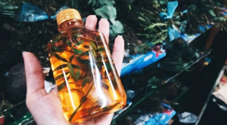 CAÑA CON RUDA, la tradición de cada 1º de Agosto CAÑA CON RUDA, la tradición de cada 1º de Agosto