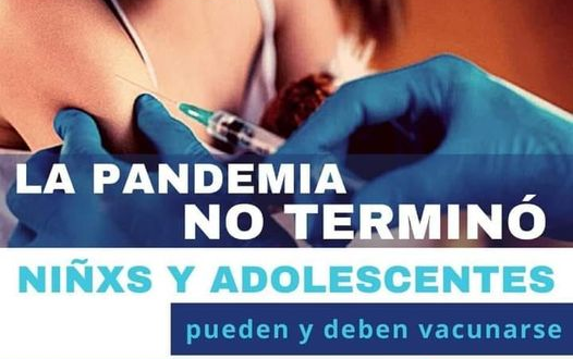 Boletín AMSAFE: Cronograma de Cobro. Esclarecer Violencia hacia Escuelas. Titularizaciones. CTERA Convenio UNIPE