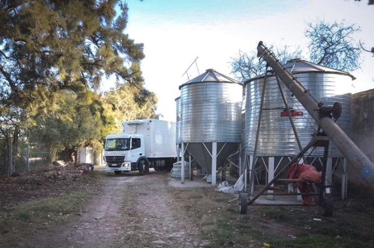 Producir alimentos sanos y a precios justos es soberanía alimentaria Producir alimentos sanos y a precios justos es soberanía alimentaria