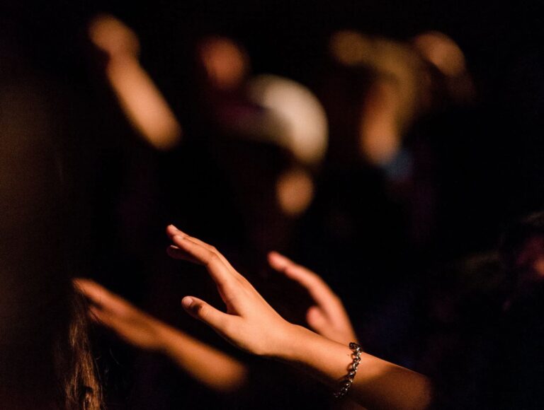 Evolución intencional Evolución intencional