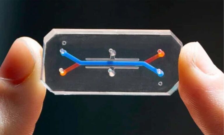 Crean la primera vagina en un chip (sí, leíste bien) Crean la primera vagina en un chip (sí, leíste bien)