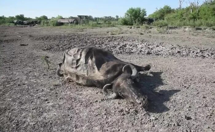 Hemisferio sur se secó más que el norte en los últimos 20 años