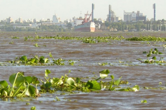 Recomendaciones de Prefectura San Lorenzo por la Creciente del Río Paraná