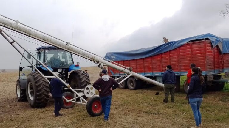 PGSM: Inspectores descubren granos coloreados artificialmente y suspenden el envío del cargamento