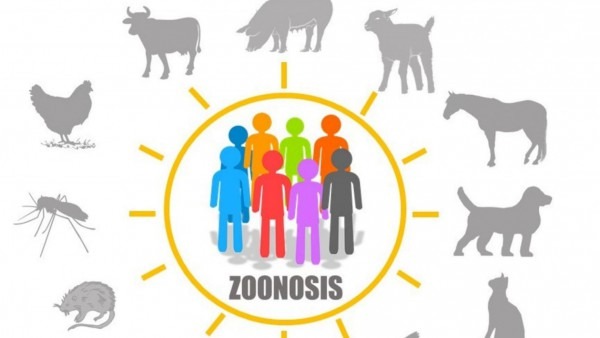 Zoonosis: ¿Cuál es el impacto que generan las enfermedades de origen animal? Zoonosis: ¿Cuál es el impacto que generan las enfermedades de origen animal?