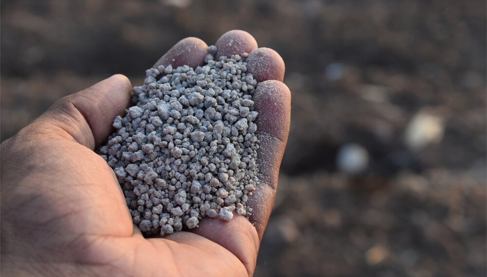 Fertilización en fina: estrategias para una campaña “reñida”