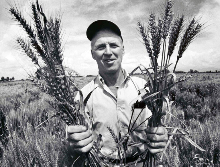 ¿La agroecología puede alimentar al mundo?