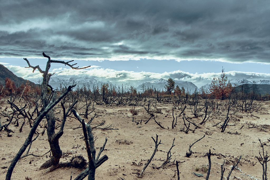 La crisis climática y las acciones sistémicas desde las comunidades