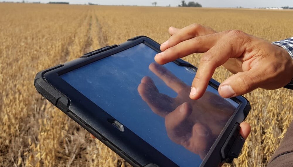 Utilizarán inteligencia artificial para mejorar las estimaciones de siembra y cosecha