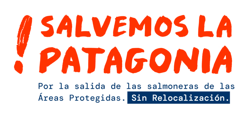 Entrevista al oceanólogo Paulo Moreno: «El litoral de Puerto Montt a Cabo de Hornos es el 37% de todas las costas de Sudamérica y ahí ocurre el 2% de las descargas globales de agua dulce al mar”