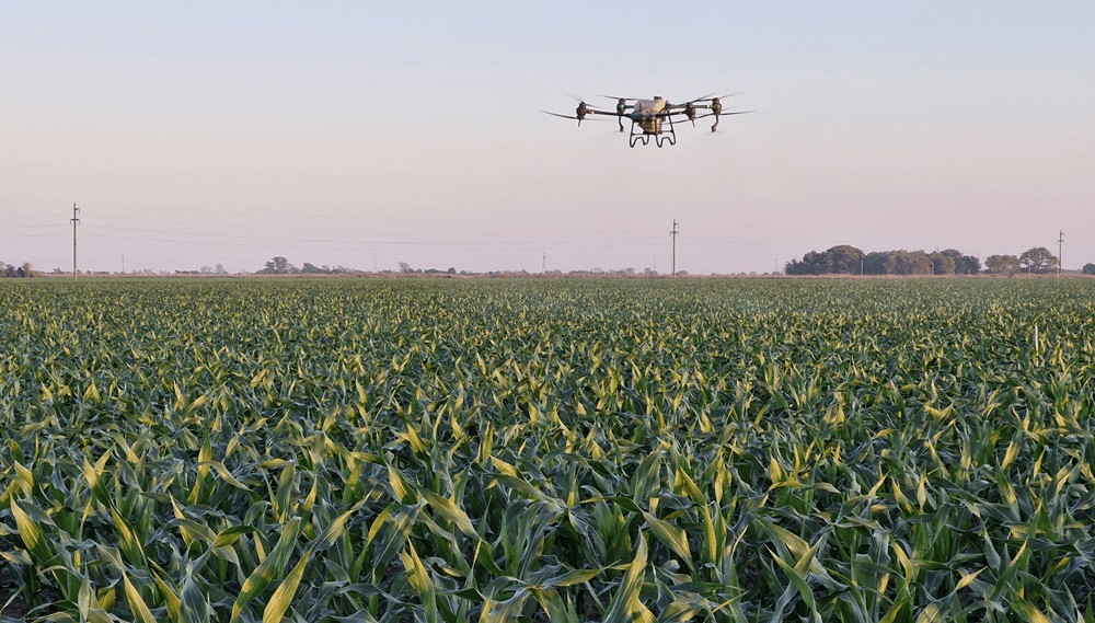 Drones para pulverización: los pros y contras de una tecnología con mucho para crecer en Argentina