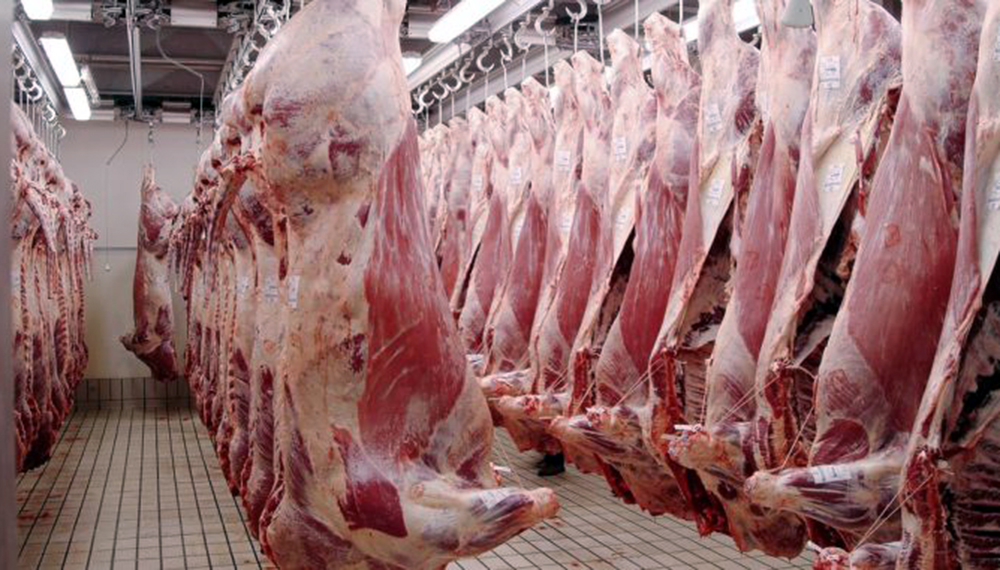 La faena bovina cayó 2,4% en el primer trimestre: 13.300 toneladas de carne menos