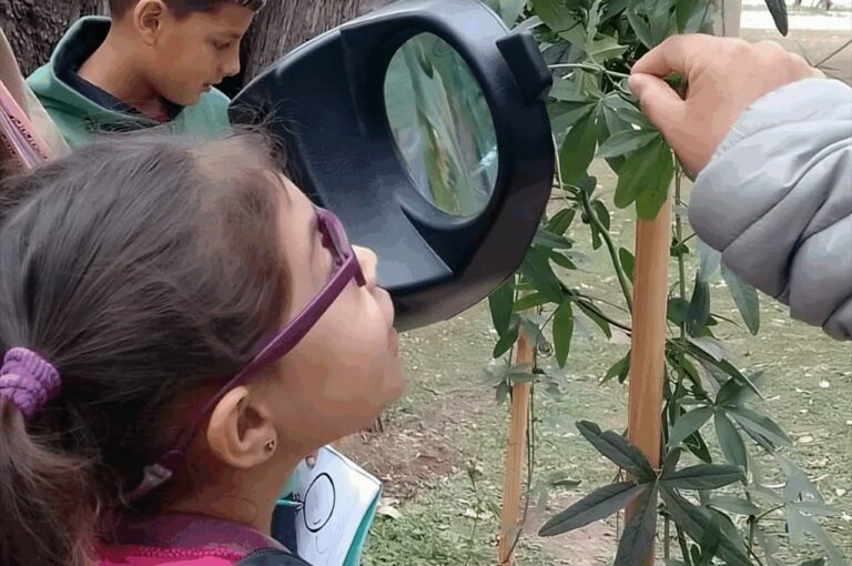 Cine en el Teatro y talleres en el Museo, las propuestas para las vacaciones de invierno Cine en el Teatro y talleres en el Museo, las propuestas para las vacaciones de invierno