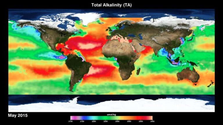 La amenaza silenciosa de la acidificación marina: lo que significa para Costa Rica La amenaza silenciosa de la acidificación marina: lo que significa para Costa Rica