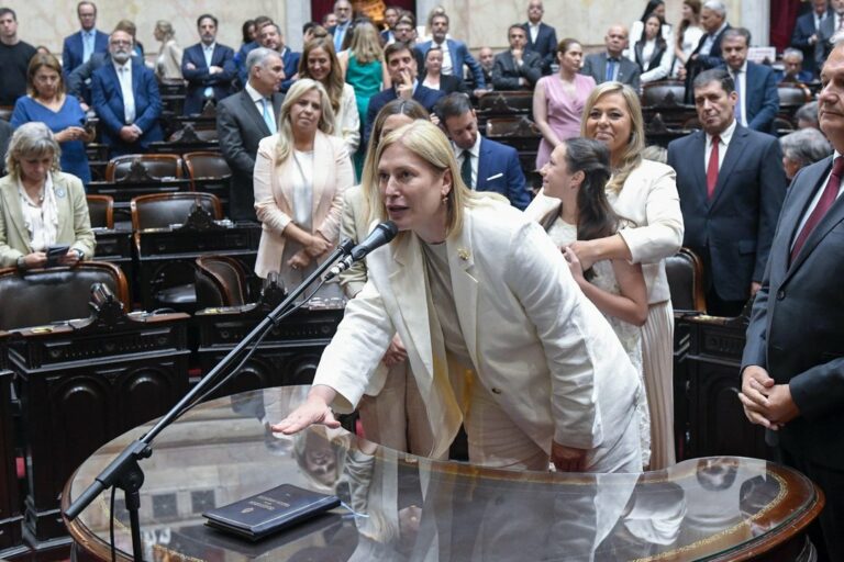 Así quedaron conformados todos los bloques del nuevo Congreso nacional