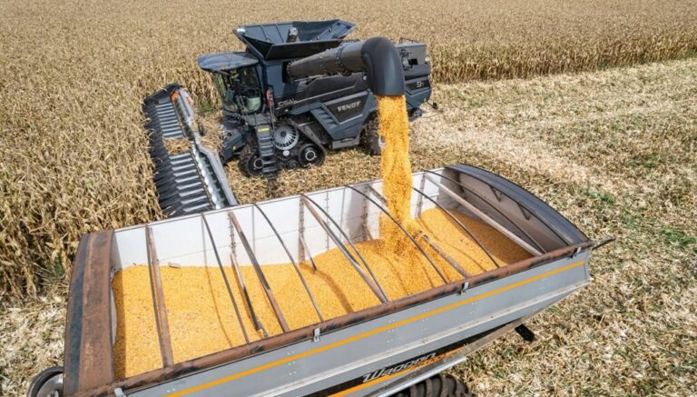 Proyecciones 2025/26: la campaña que quiere romper por primera vez la barrera de los 150 millones de toneladas Proyecciones 2025/26: la campaña que quiere romper por primera vez la barrera de los 150 millones de toneladas